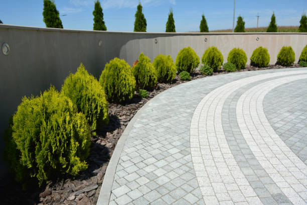 Best Custom Driveway Pavers  in Mulberry, IN